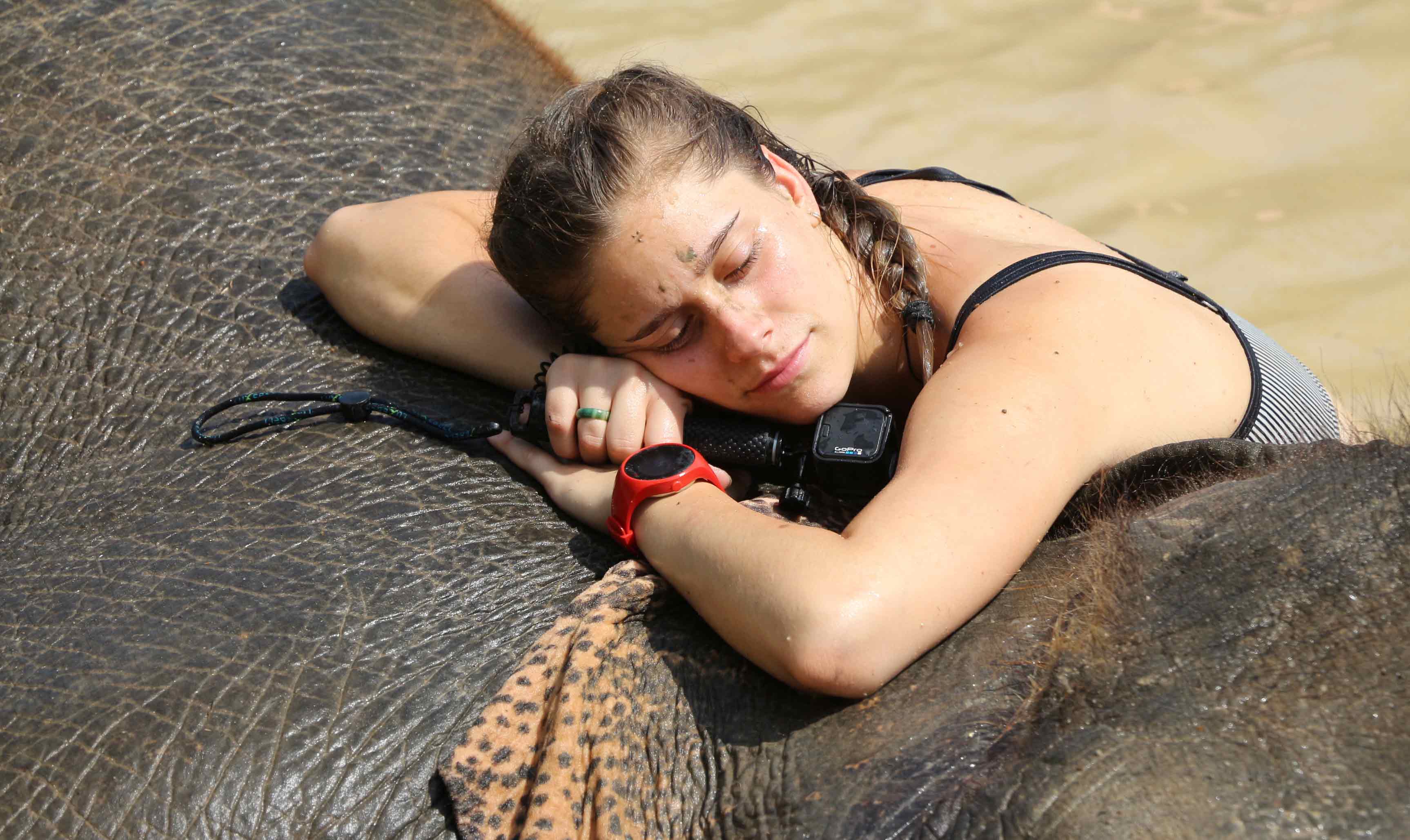 HALF DAY MORNING | Maerim Elephant Sanctuary