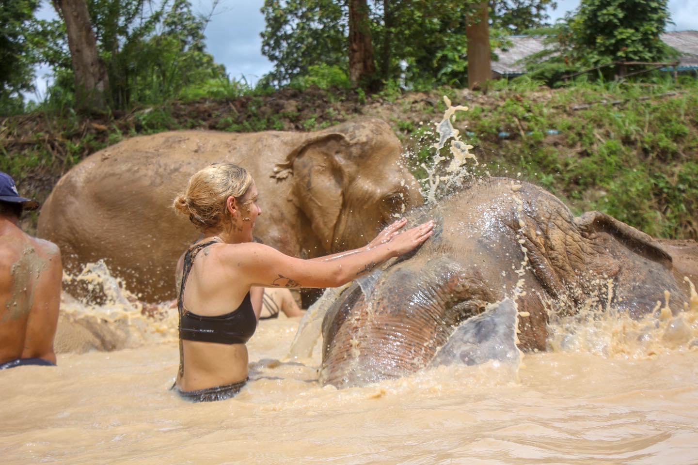 HALF DAY AFTERNOON | Maerim Elephant Sanctuary