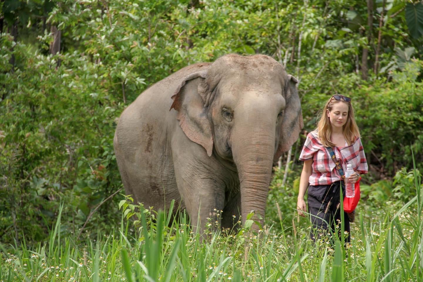 HALF DAY AFTERNOON | Maerim Elephant Sanctuary