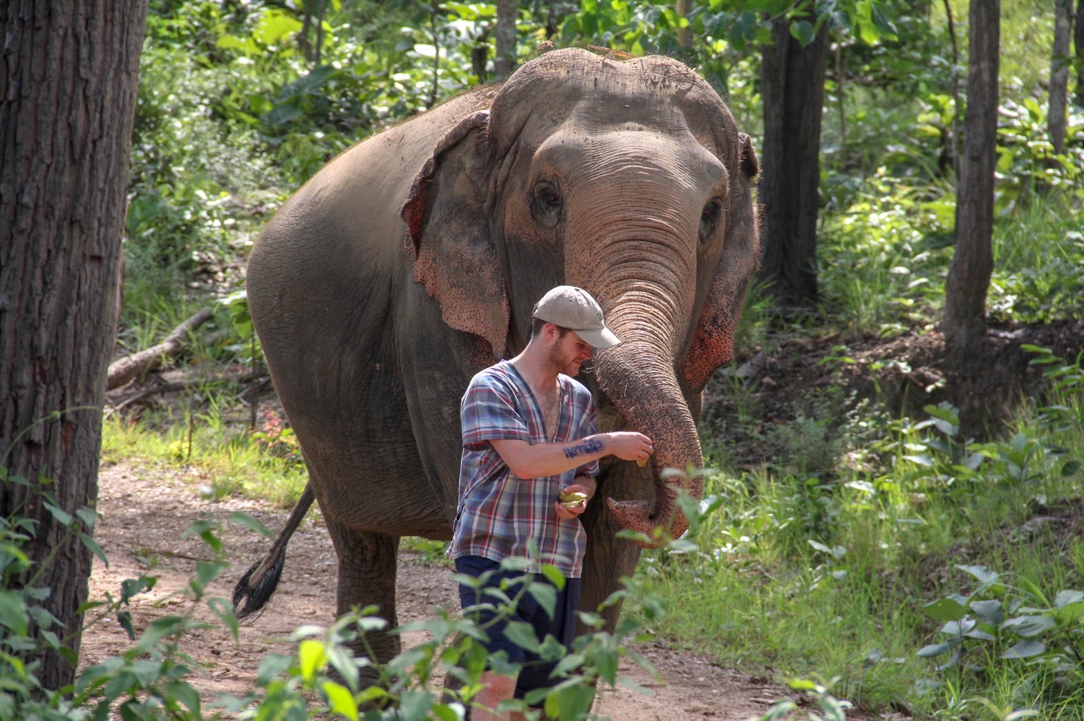 HALF DAY MORNING | Maerim Elephant Sanctuary