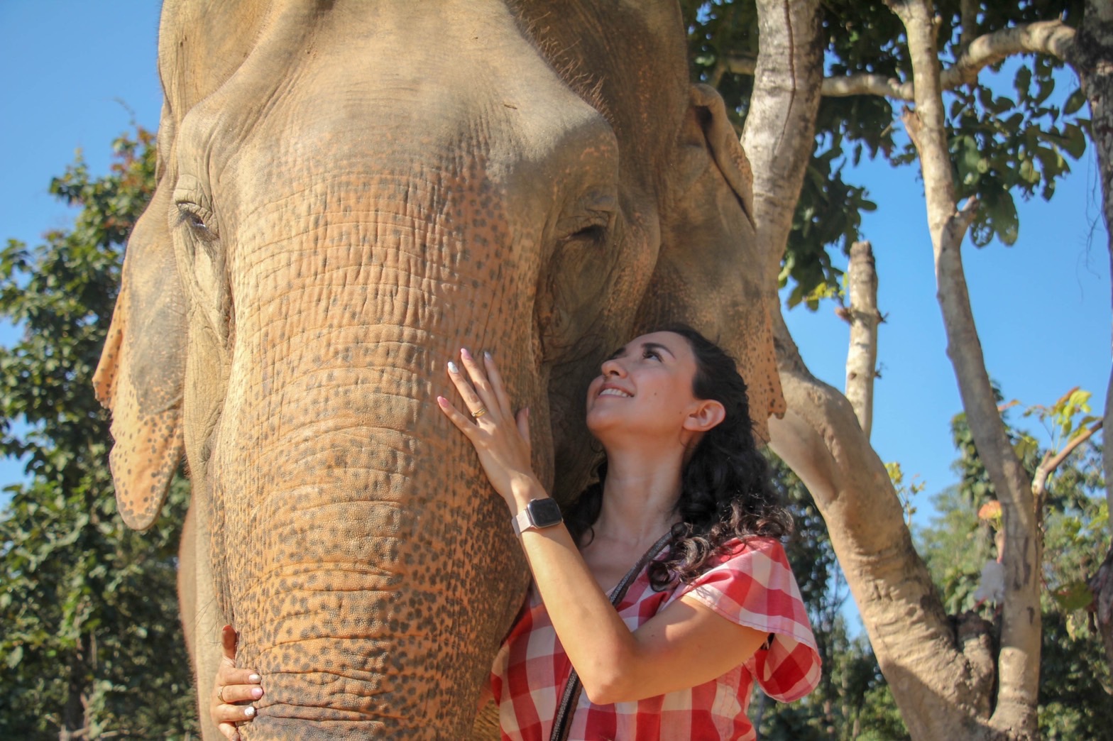  FULL DAY VISIT | Maerim Elephant Sanctuary