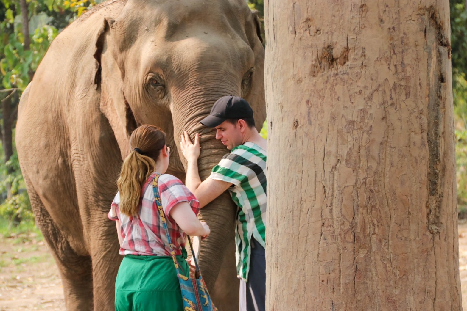GREET & FEED TOUR FROM 800 BAHT | Maerim Elephant Sanctuary