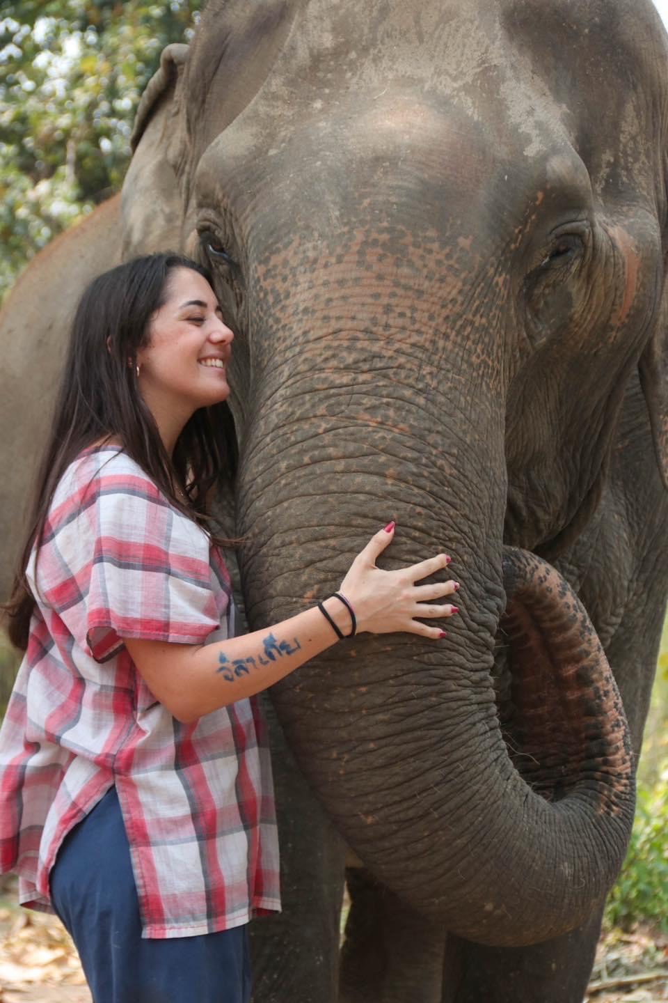 GREET & FEED TOUR FROM 800 BAHT | Maerim Elephant Sanctuary
