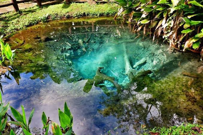 Half day elephant + Half day sticky waterfall | Maerim Elephant Sanctuary
