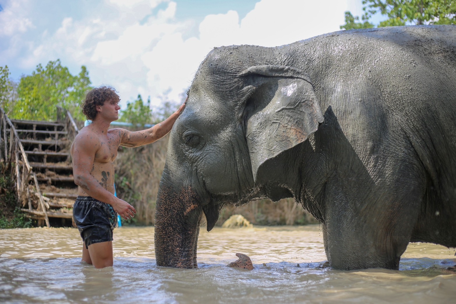 Half day elephant + Half day sticky waterfall | Maerim Elephant Sanctuary