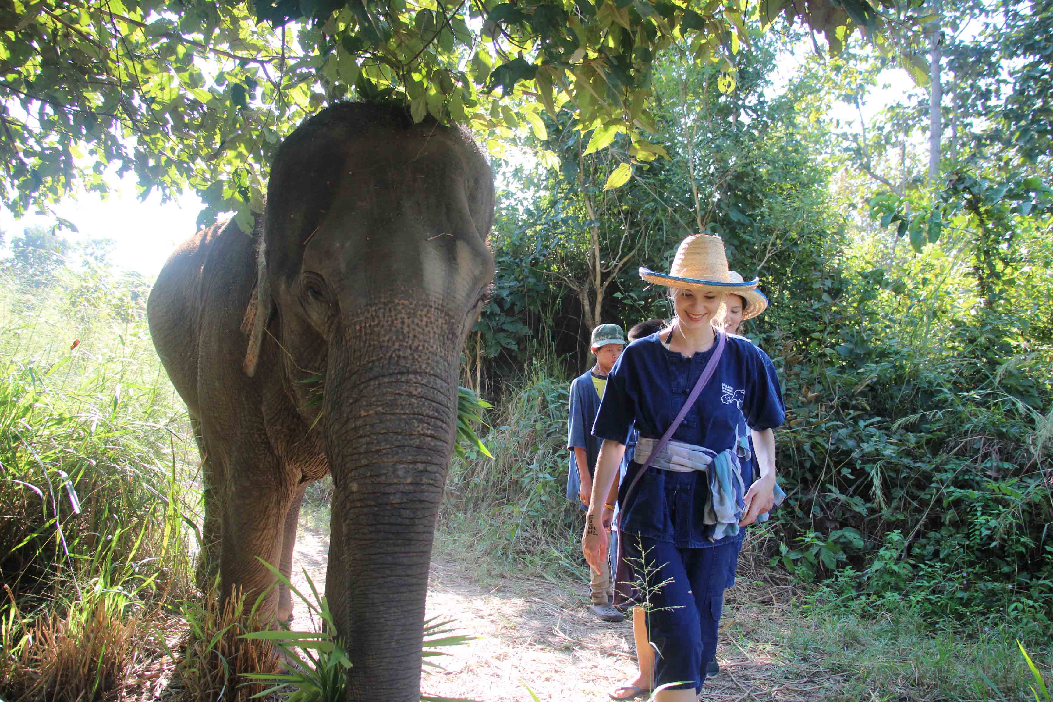  TWO DAY VISIT | Maerim Elephant Sanctuary