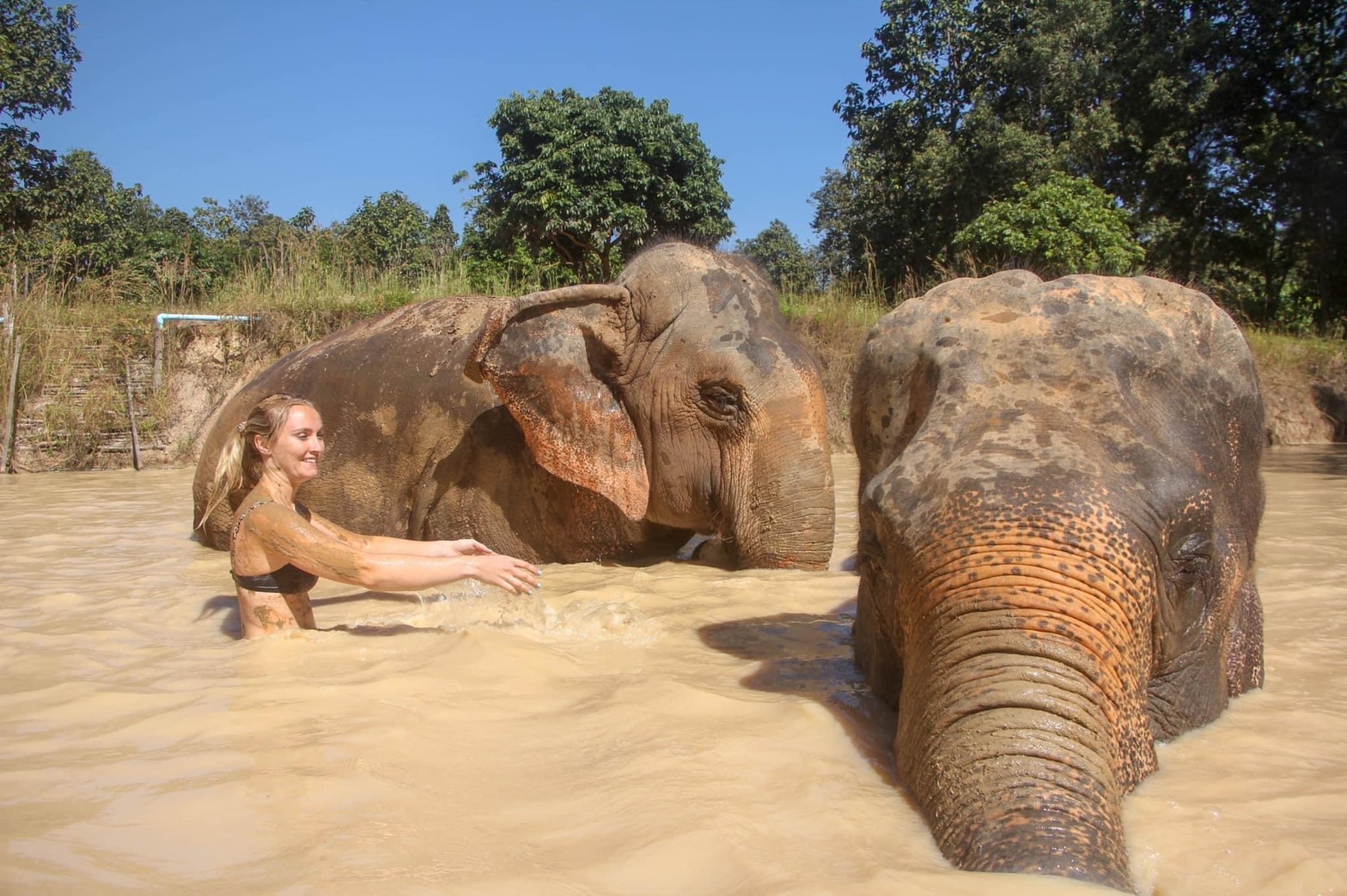 HALF DAY MORNING | Maerim Elephant Sanctuary