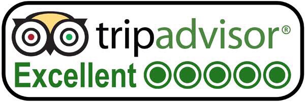 Elephant sanctuary Chiangmai Tripadviser Excellent